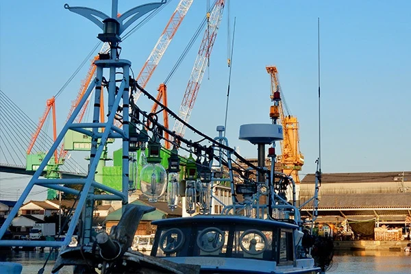 მეტალის ლაზერული ჭრა 17 marine